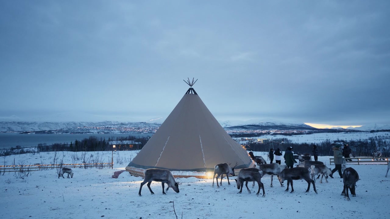 Traditional Sami lavvu surrounded by reindeer on snowy Arctic landscape in Norway