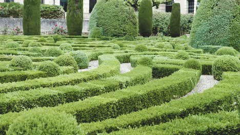 4k slow moving shot through well trimmed lush green maze garden in front of old italian manor lodge house