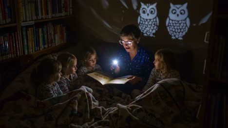 a magical storytime experience: engaging children with a flashlight and enchanting shadow puppets of owls during a cozy reading session