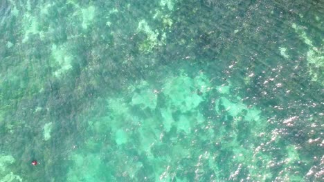 aerial ascending view over clear waters near reef break