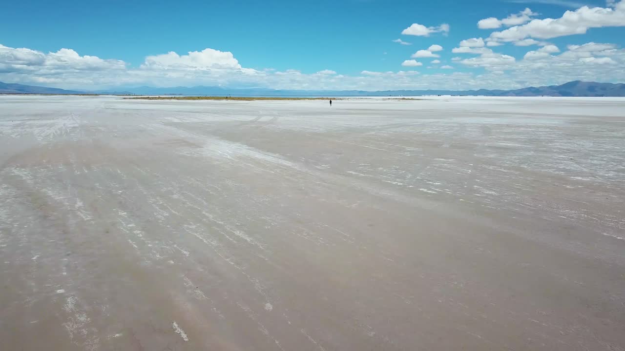 Dynamic Aerial View of Lonely Female in Endless Salt Flat Under Summer Sky. Salinas Grandes, Salta, Argentina