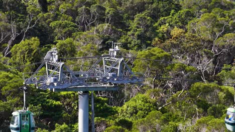 Cable cars glide over a dense rainforest, showcasing vibrant greenery and serene movement in a natural setting