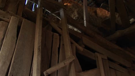 uma lasca de luz solar entra para iluminar o interior toscamente construído de um velho celeiro de madeira, incluindo uma escada quebrada que chega até o palheiro