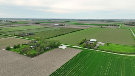 Drone-shot-of-green-farming-fields-in-Netherlands