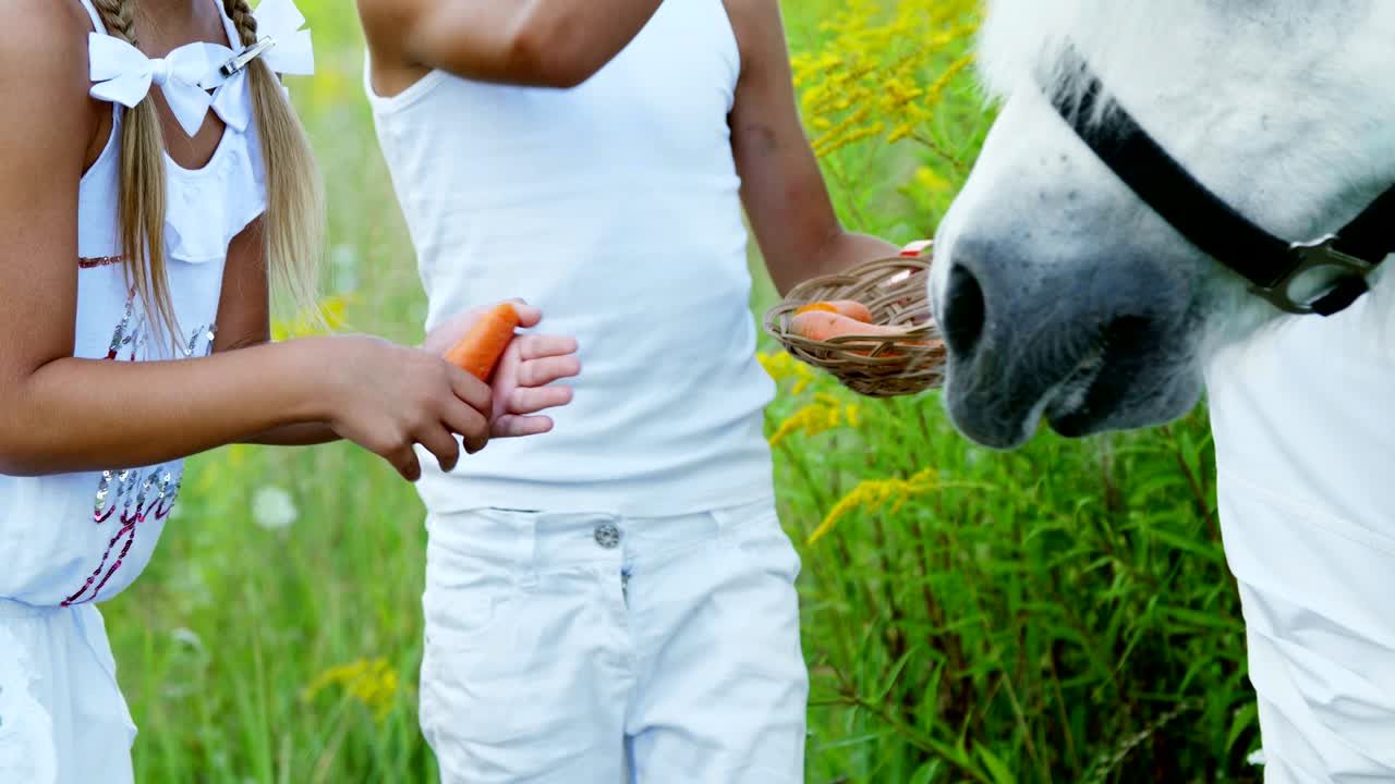 7살 소년과 7살 소녀가  포니를 먹이고, 당근을 먹게 해주고, 쾌활하고 행복한 가족 휴가를 즐기고, 야외에서, 여름에 숲 근처에서