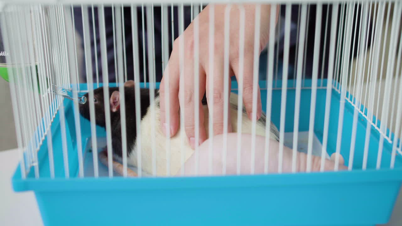 ⁇ 를  ⁇ 는 남자