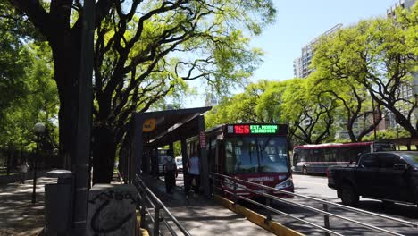public autobus stop, establishing at green avenue in palermo neighborhood