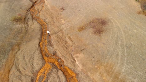 aerial view of lonely female walking on barren yellow field in alaskan landscape tilt up drone shot