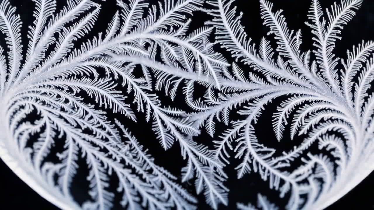 Beautiful Frost Patterns