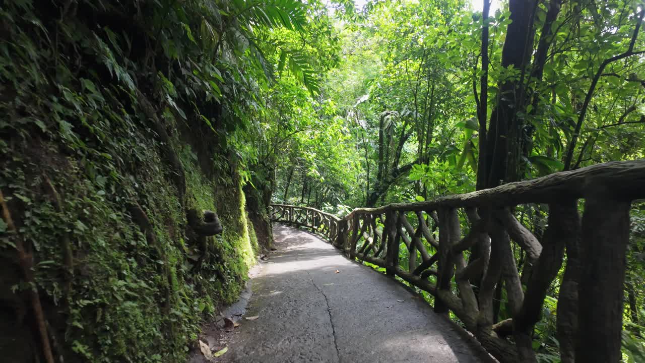 A scenic pathway surrounded by lush tropical rainforest in Mistico Park, La Fortuna, Costa Rica