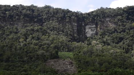 cascada en la selva peruana