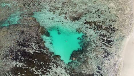 Aerial-drone-shot-of-swimming-snorkel-reef-coral-spot-Honeymoon-Beach-bay-Port-Vila-travel-tourism-Vanuatu-Pacific-Islands-4K