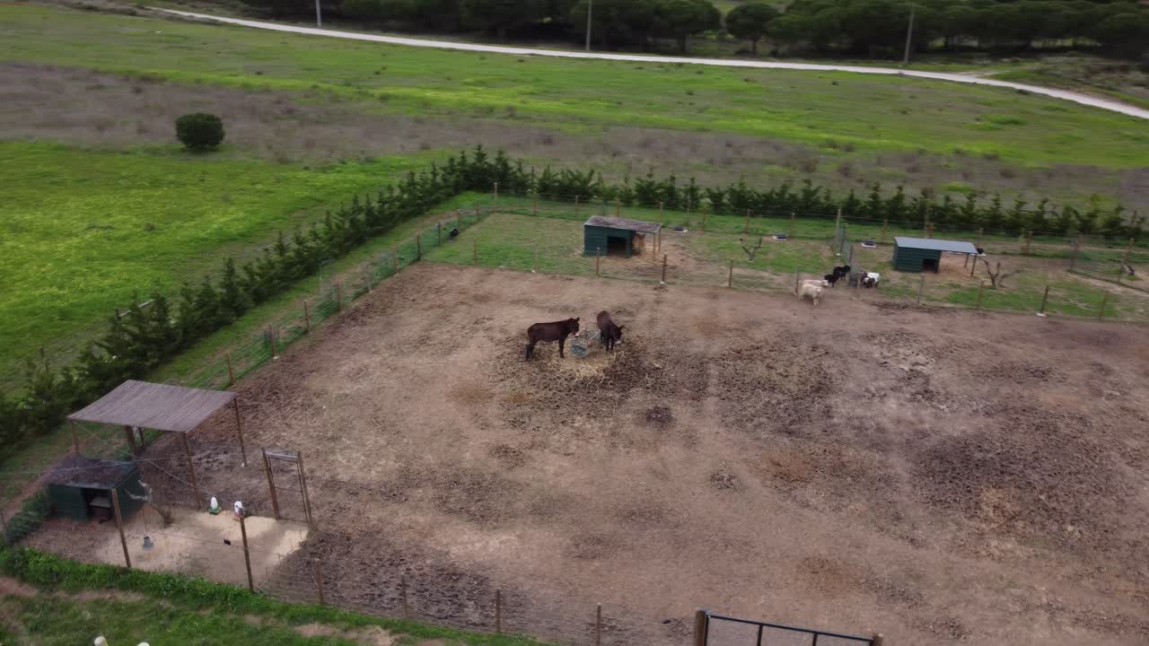 1 de 2 - imágenes de drones de 4k de la granja y los burros más hermosos del mundo