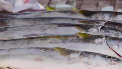 Close-up-panning-shot-of-freshly-caught-barred-sand-bass-fishes-on-display-in-an-outdoor-market-in-Bahia-Asuncion,-Mexico-at-daytime