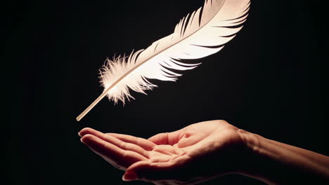 a white feather floating above an open hand