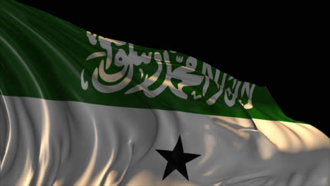 waving flag of somalia