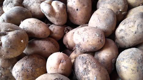 pile of dirty potatoes