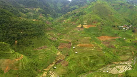 enorme valle repleto de exuberantes terrazas de arroz verde en el norte de vietnam