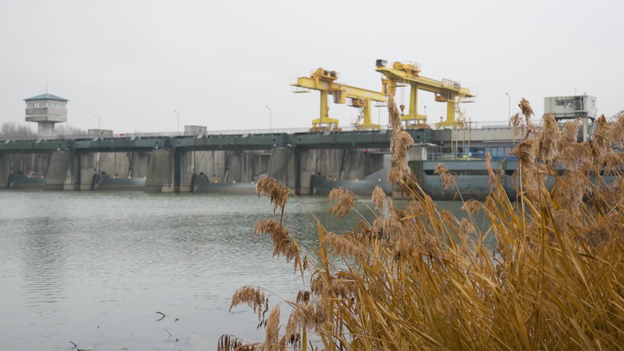 Industrial waterway infrastructure with cranes and reeds