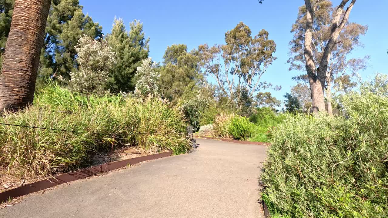 울창 한 초록색 과 나무 를 가로질러 산책 하는 것