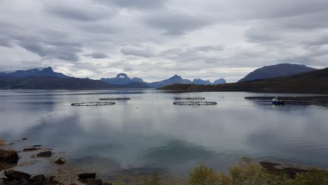 piscifactorías, cultivos acuáticos en una bahía de noruega