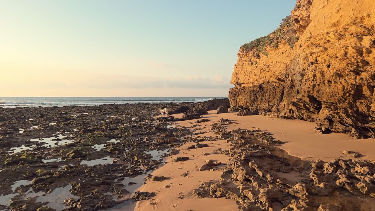 empujar en la playa rocosa y musgosa al atardecer, acantilados a la derecha, día