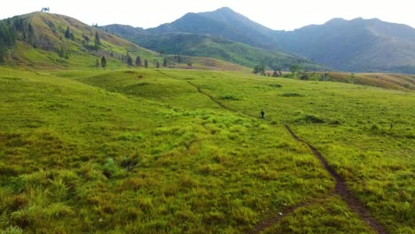 Drone-shot-of-a-person-walking-on-a-pathway-to-the-mountain