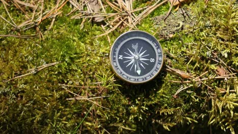 traveller compass on the grass in the forest