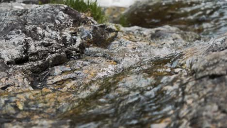 slow motion close up of small clear river flowing over rocks