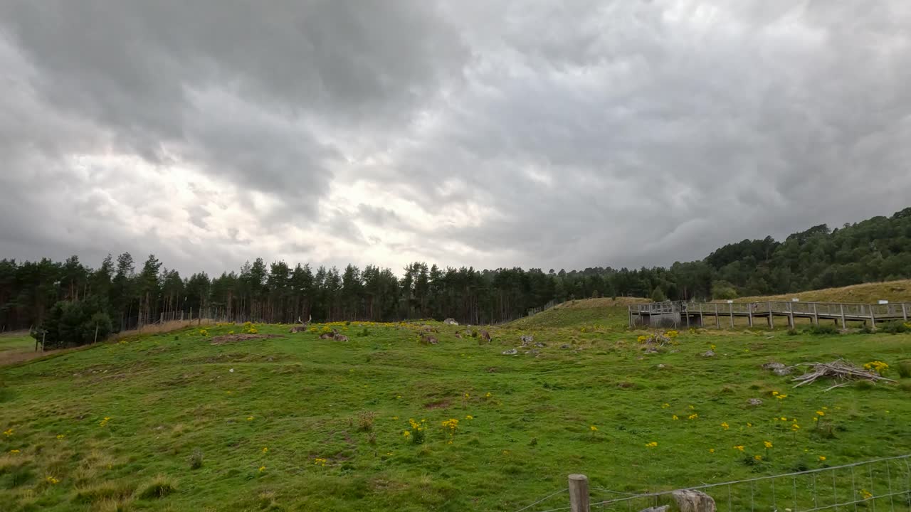 Wide shot of green hillside meadow, wooden walkway, forest, and dramatic cloudy sky, static camera