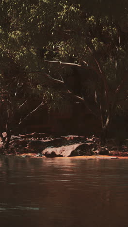 a serene river scene with trees and water reflecting the blue sky