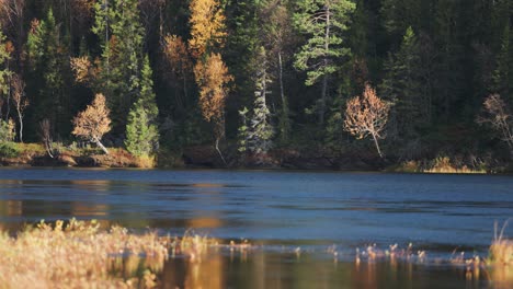 A-lake-with-shores-adorned-with-withered-grass