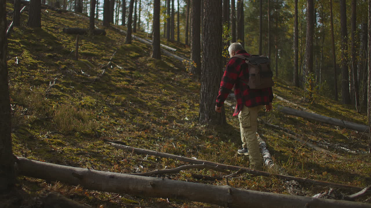 hombre envejecido está explorando el bosque caminando entre los árboles en un soleado día de otoño mochila de solo turista masculino