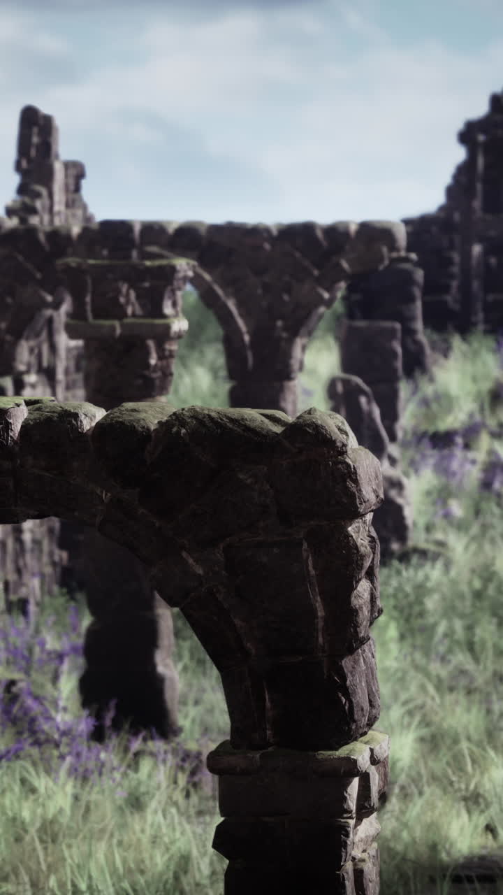 잔디 와 포도나무 로 뒤인 고대 돌 의 아치 의 폐허