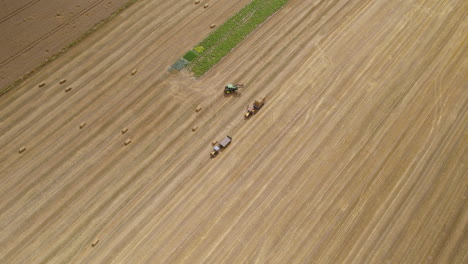 aerial overhead view of harvesters and tractors working together to collect wheat