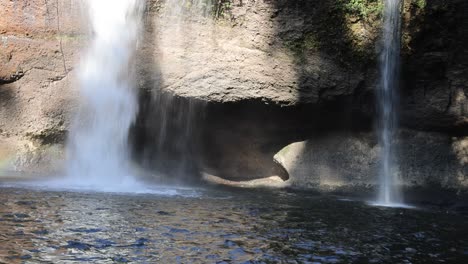 deer moves across waterfall in sequential frames