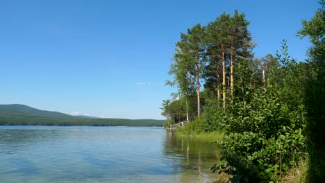 serene lakeside scenery with lush foliage and mountains