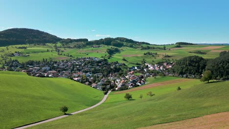 aerial view of a village from switzerland-1