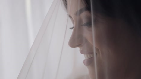 beautiful bride smiling under her veil