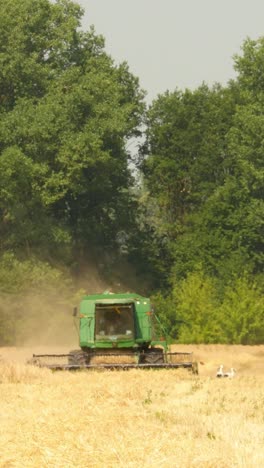 modern combine harvesting grain in the field