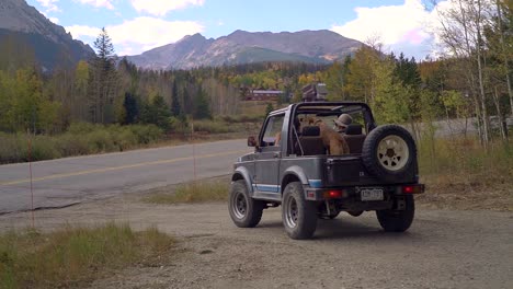 experience the magic of autumn as a man and his loyal canine companion embark on a scenic mountain drive in a vintage 4x4