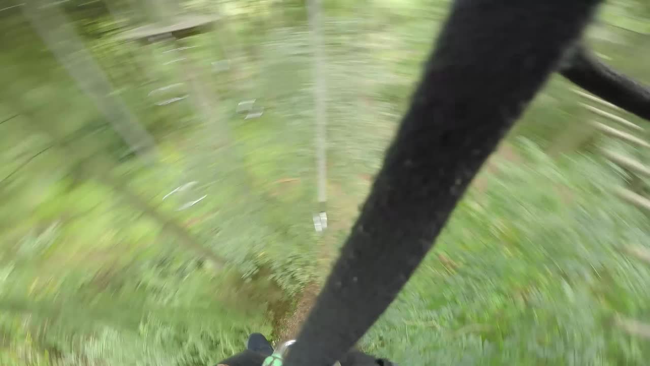 나무 꼭대기 장애물 코스