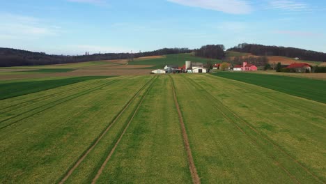 europen farmland, wheat field in spring with a farm and village in background, aerial landscape view of slovenias countryside, village of desenci near ptuj