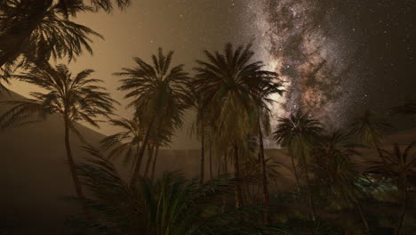 milky way over desert oasis