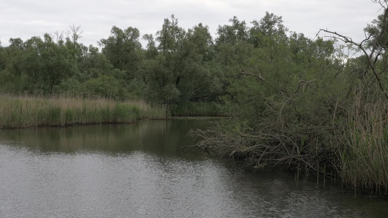Park Narodowy Biesbosch w Holandii, rejs przez naturę