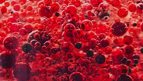 macro shot of dark red bubbles getting mixed in water, slowly floating