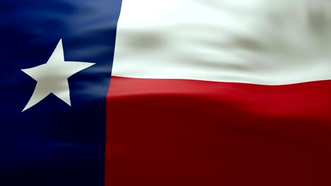 agitando la bandera de texas - bucle