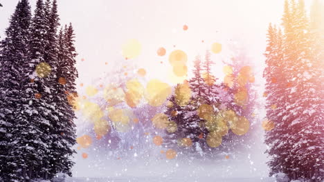 snow falling and fir trees
