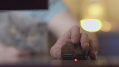 a man's hand with a computer mouse, against the background of a blurred muzzle of a cat