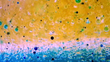 bubbles in oil and water with ink behind glass